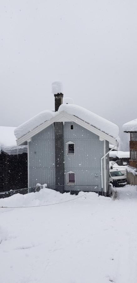 Casa Cuschina - Mit Sauna In Der Schoenen Surselva Dardin Exterior photo
